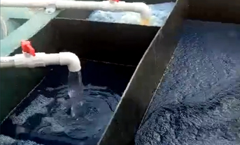 工程現場視頻十一