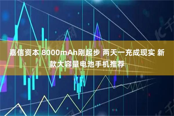 嘉信资本 8000mAh刚起步 两天一充成现实 新款大容量电池手机推荐