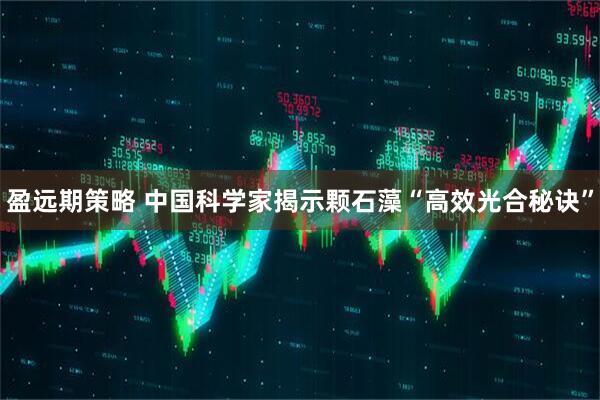 盈远期策略 中国科学家揭示颗石藻“高效光合秘诀”