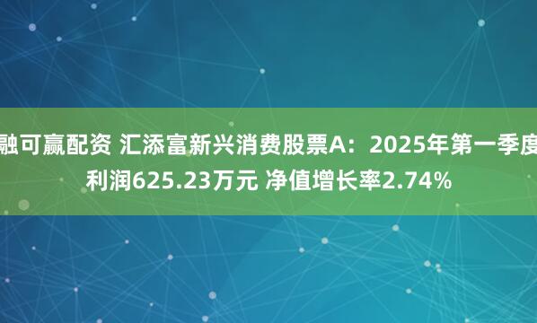 融可赢配资 汇添富新兴消费股票A：2025年第一季度利润625.23万元 净值增长率2.74%