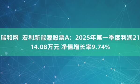 瑞和网  宏利新能源股票A：2025年第一季度利润2114.08万元 净值增长率9.74%
