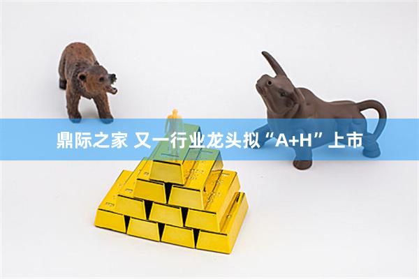 鼎际之家 又一行业龙头拟“A+H”上市
