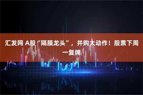 汇发网 A股“隔膜龙头”，并购大动作！股票下周一复牌