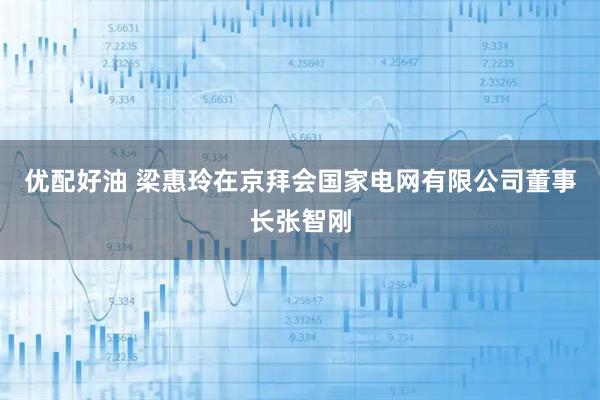 优配好油 梁惠玲在京拜会国家电网有限公司董事长张智刚