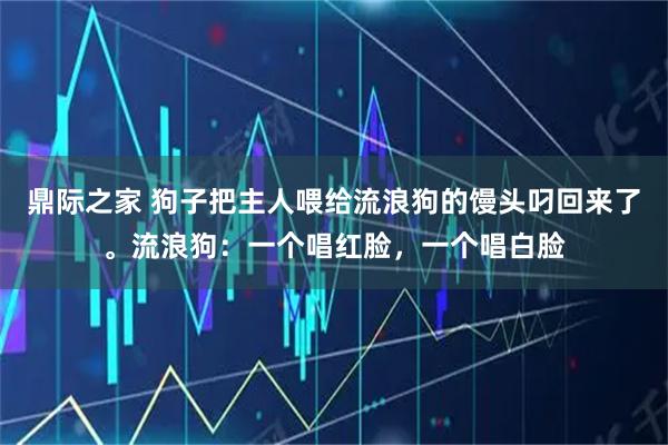 鼎际之家 狗子把主人喂给流浪狗的馒头叼回来了。流浪狗：一个唱红脸，一个唱白脸