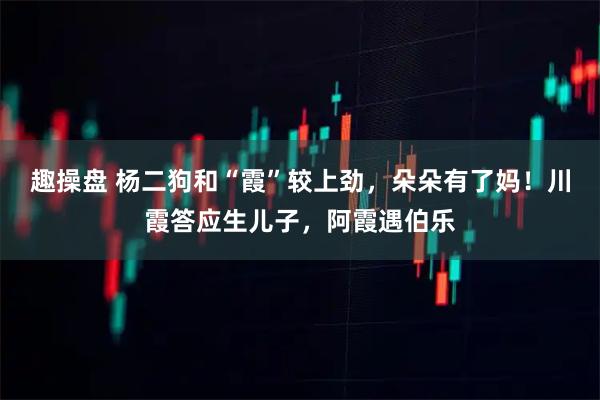 趣操盘 杨二狗和“霞”较上劲，朵朵有了妈！川霞答应生儿子，阿霞遇伯乐